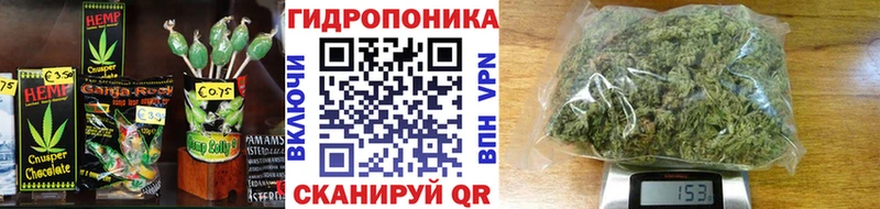 Купить закладки  Рыбное  Печенье с ТГК конопля 