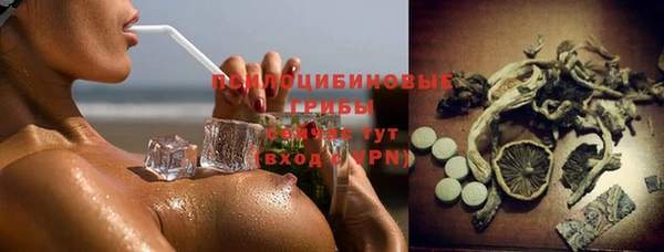 бутират Гусь-Хрустальный