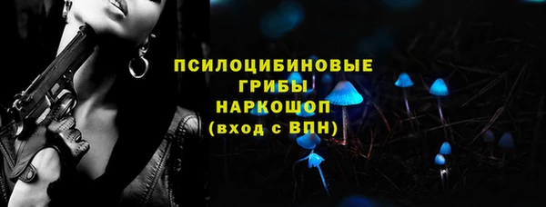 экстази Гусев