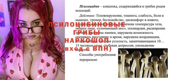 бутират Гусь-Хрустальный